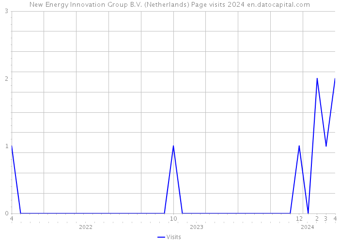 New Energy Innovation Group B.V. (Netherlands) Page visits 2024 