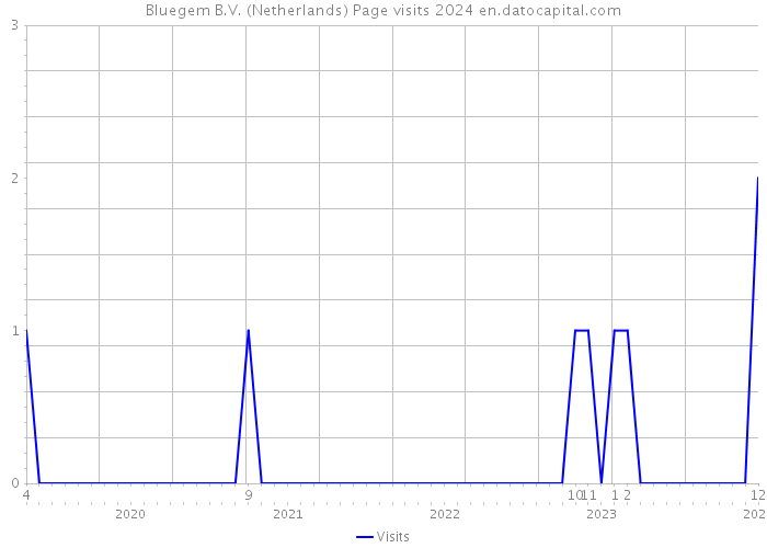 Bluegem B.V. (Netherlands) Page visits 2024 