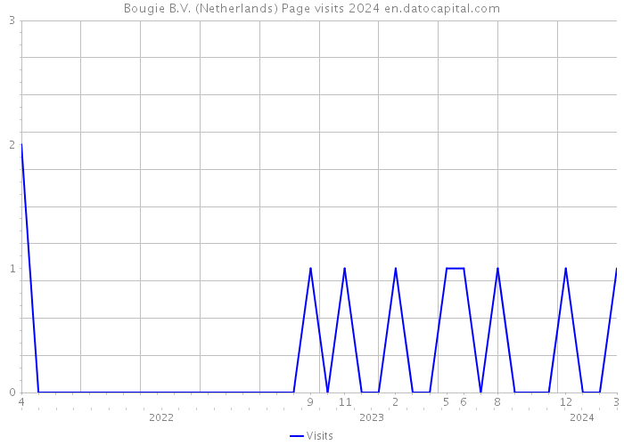 Bougie B.V. (Netherlands) Page visits 2024 