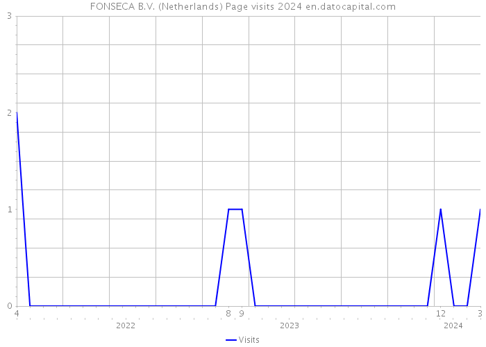 FONSECA B.V. (Netherlands) Page visits 2024 