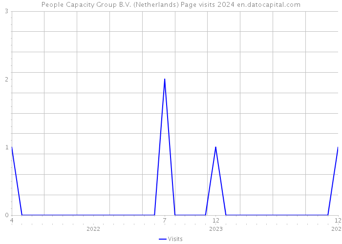 People Capacity Group B.V. (Netherlands) Page visits 2024 