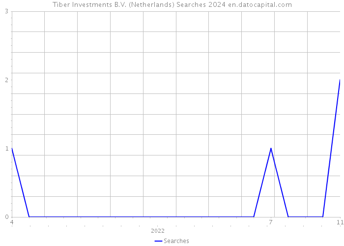 Tiber Investments B.V. (Netherlands) Searches 2024 