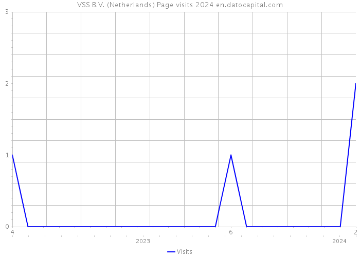 VSS B.V. (Netherlands) Page visits 2024 