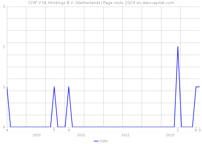 CIVF V NL Holdings B.V. (Netherlands) Page visits 2024 