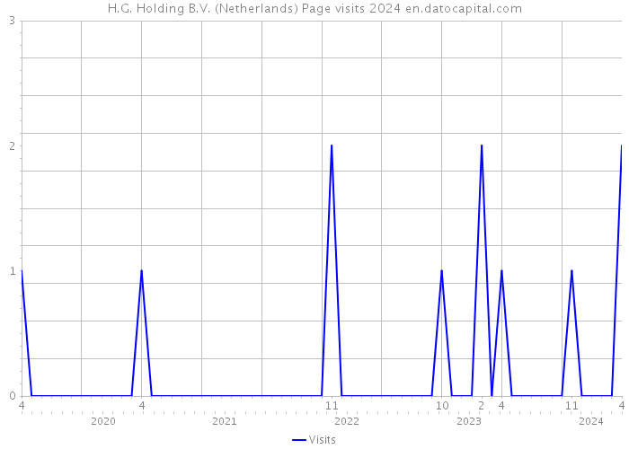 H.G. Holding B.V. (Netherlands) Page visits 2024 