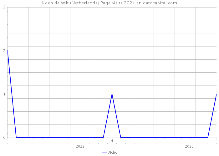 Koen de Wilt (Netherlands) Page visits 2024 