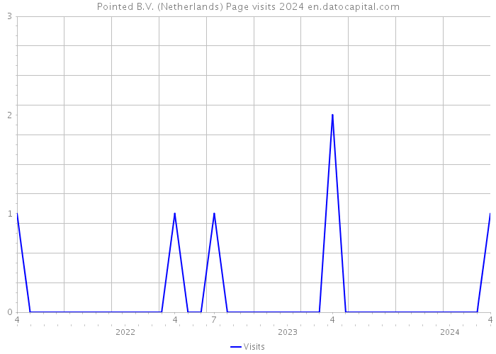 Pointed B.V. (Netherlands) Page visits 2024 