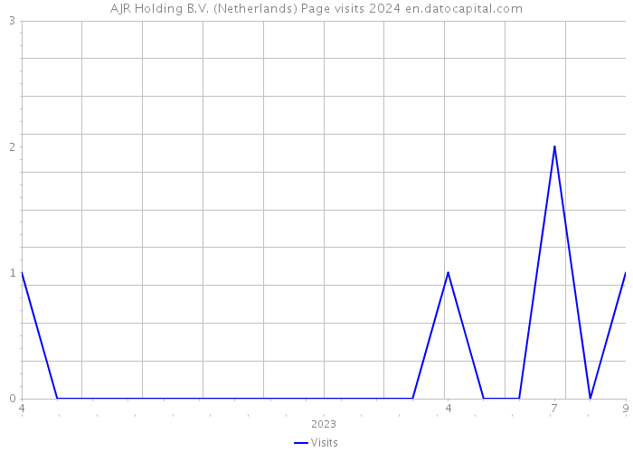AJR Holding B.V. (Netherlands) Page visits 2024 