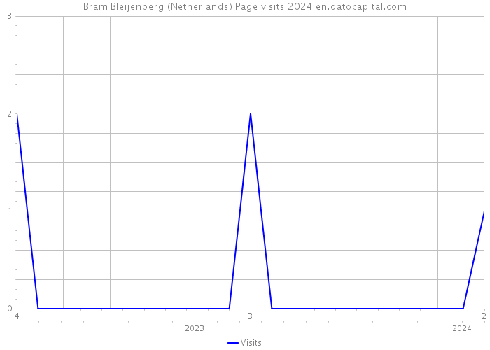 Bram Bleijenberg (Netherlands) Page visits 2024 