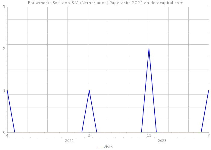 Bouwmarkt Boskoop B.V. (Netherlands) Page visits 2024 