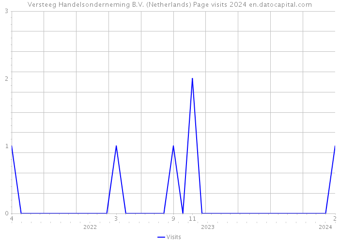Versteeg Handelsonderneming B.V. (Netherlands) Page visits 2024 