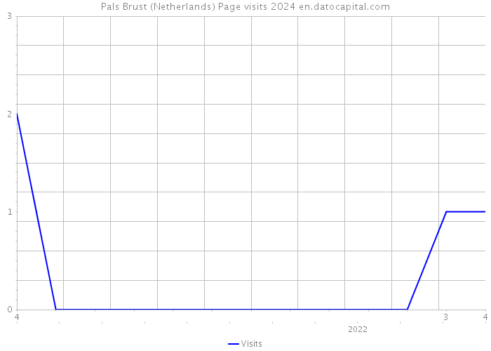 Pals Brust (Netherlands) Page visits 2024 
