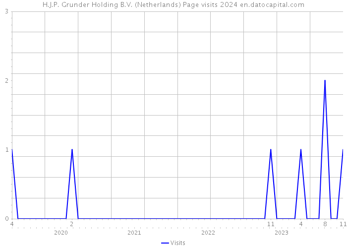 H.J.P. Grunder Holding B.V. (Netherlands) Page visits 2024 