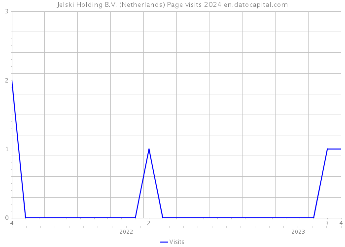 Jelski Holding B.V. (Netherlands) Page visits 2024 