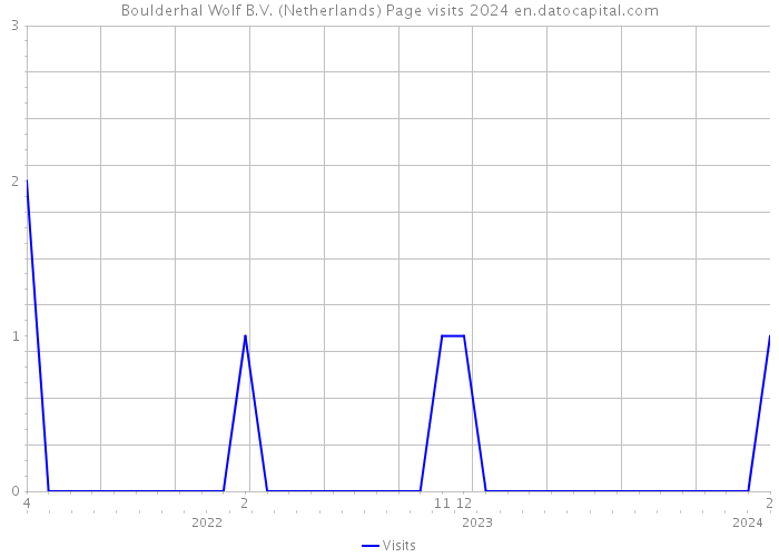 Boulderhal Wolf B.V. (Netherlands) Page visits 2024 