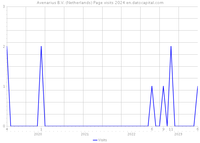 Avenarius B.V. (Netherlands) Page visits 2024 