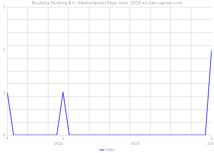 Bouhjira Holding B.V. (Netherlands) Page visits 2024 