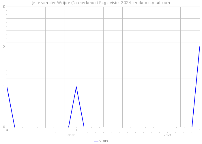 Jelle van der Weijde (Netherlands) Page visits 2024 