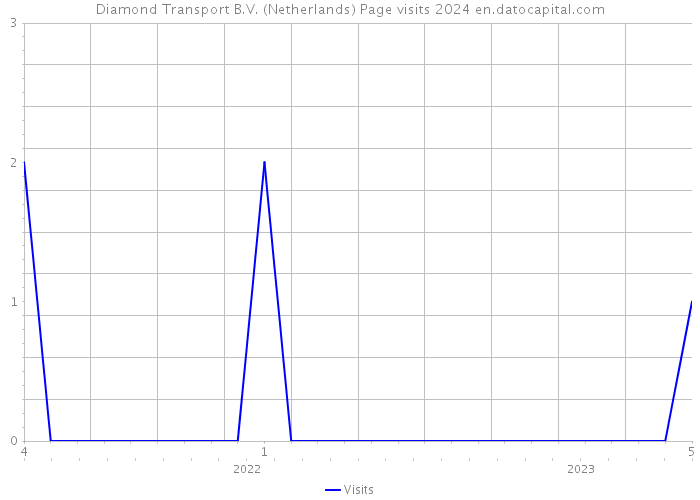 Diamond Transport B.V. (Netherlands) Page visits 2024 