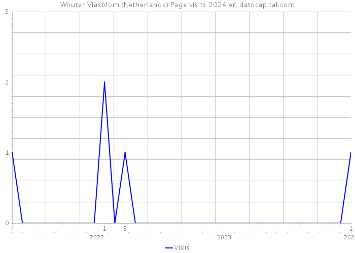 Wouter Vlasblom (Netherlands) Page visits 2024 