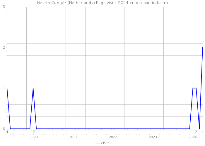 Nesrin Güngör (Netherlands) Page visits 2024 