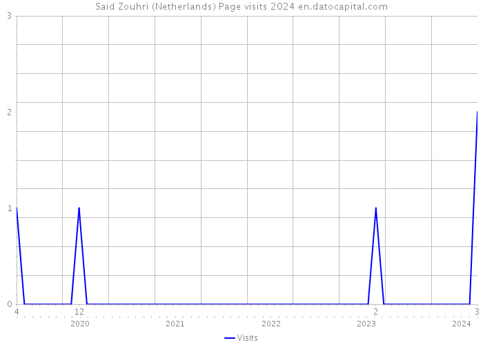 Said Zouhri (Netherlands) Page visits 2024 