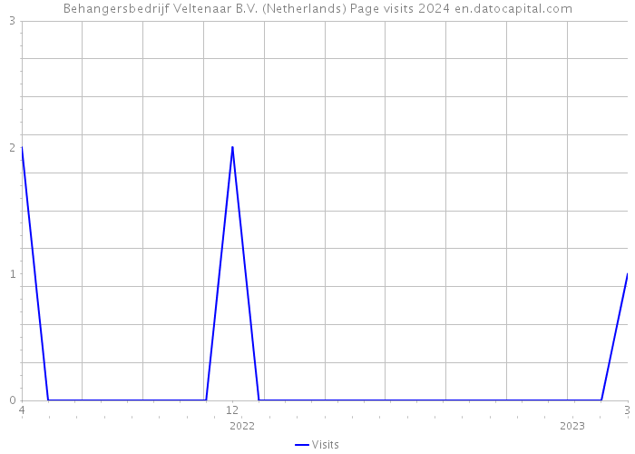 Behangersbedrijf Veltenaar B.V. (Netherlands) Page visits 2024 