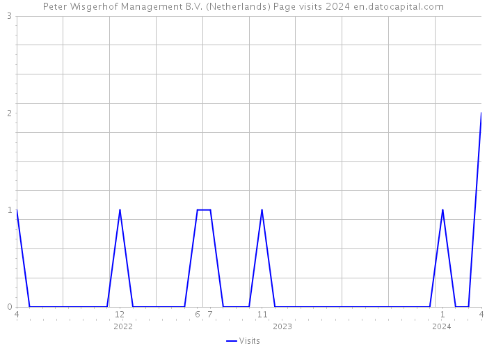 Peter Wisgerhof Management B.V. (Netherlands) Page visits 2024 