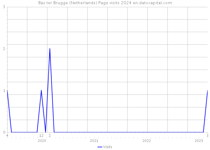 Bas ter Brugge (Netherlands) Page visits 2024 