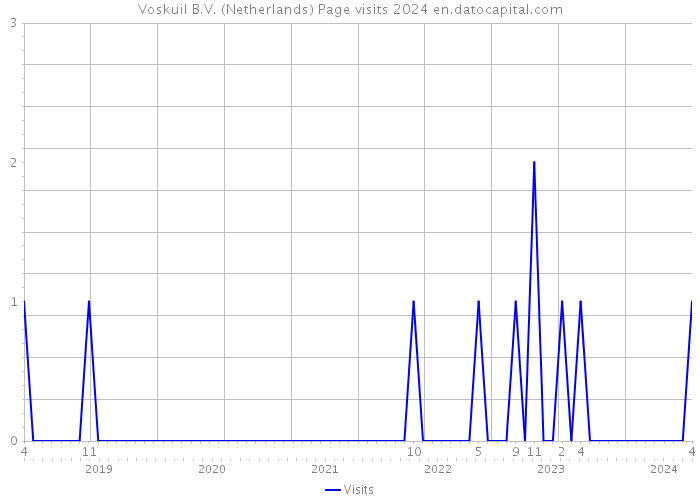Voskuil B.V. (Netherlands) Page visits 2024 