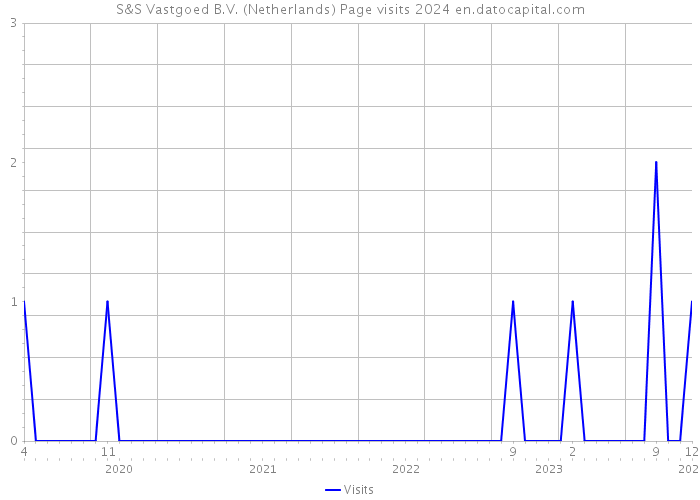 S&S Vastgoed B.V. (Netherlands) Page visits 2024 