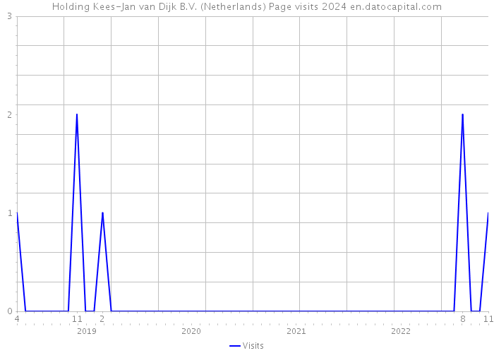 Holding Kees-Jan van Dijk B.V. (Netherlands) Page visits 2024 