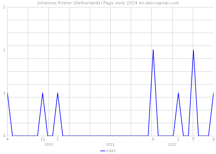 Johannes Rottier (Netherlands) Page visits 2024 