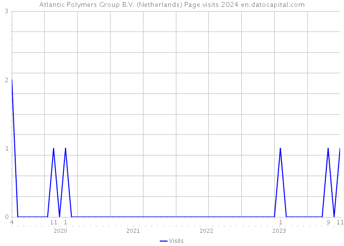 Atlantic Polymers Group B.V. (Netherlands) Page visits 2024 