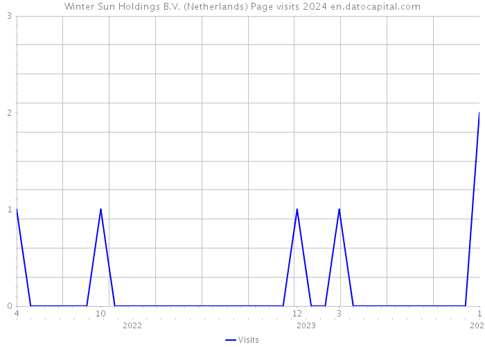 Winter Sun Holdings B.V. (Netherlands) Page visits 2024 