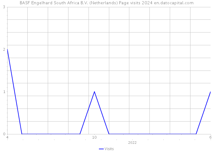 BASF Engelhard South Africa B.V. (Netherlands) Page visits 2024 