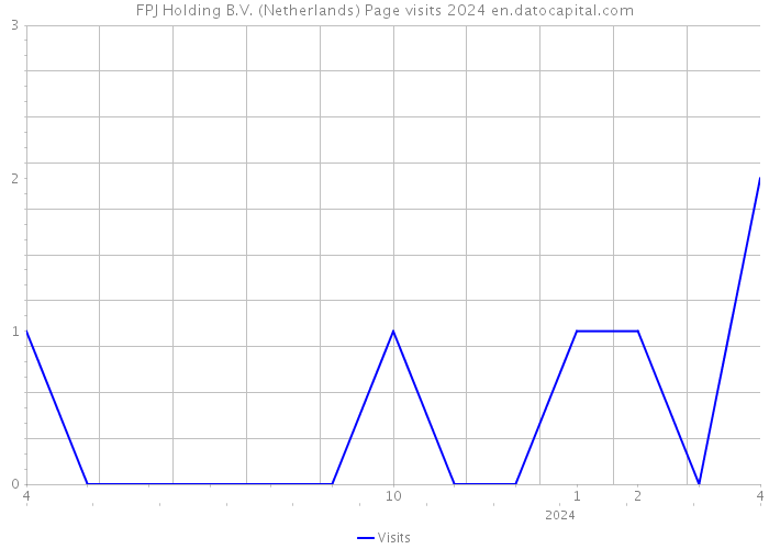 FPJ Holding B.V. (Netherlands) Page visits 2024 