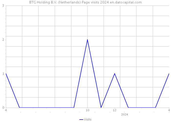 BTG Holding B.V. (Netherlands) Page visits 2024 