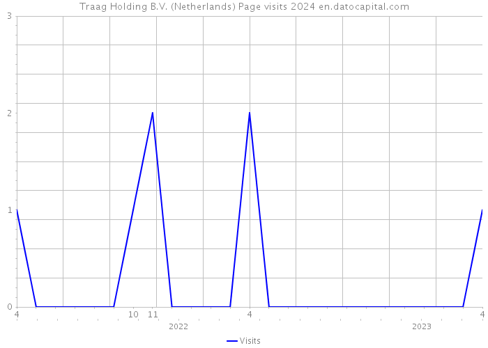 Traag Holding B.V. (Netherlands) Page visits 2024 