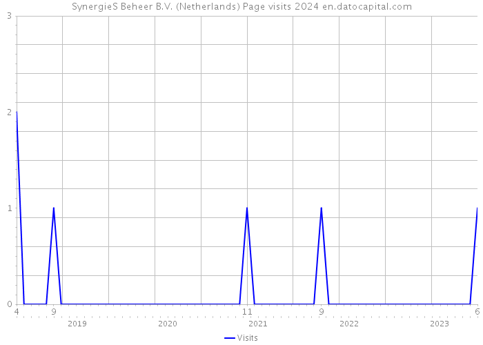 SynergieS Beheer B.V. (Netherlands) Page visits 2024 