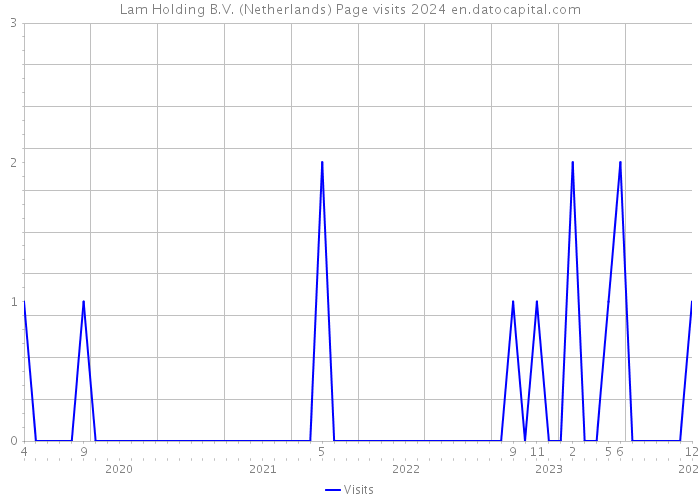 Lam Holding B.V. (Netherlands) Page visits 2024 