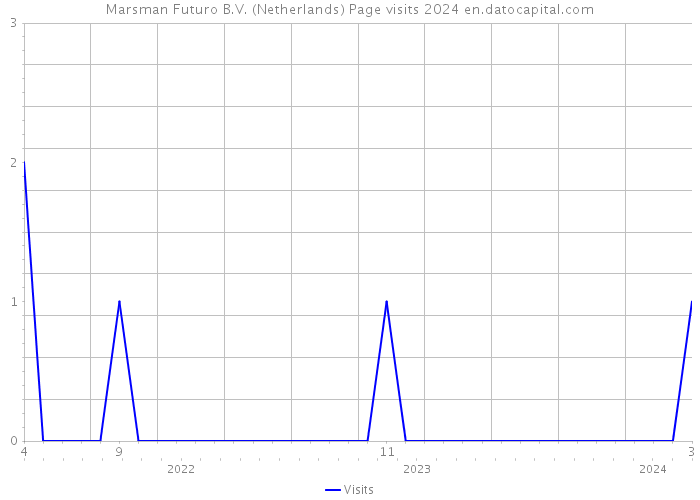 Marsman Futuro B.V. (Netherlands) Page visits 2024 