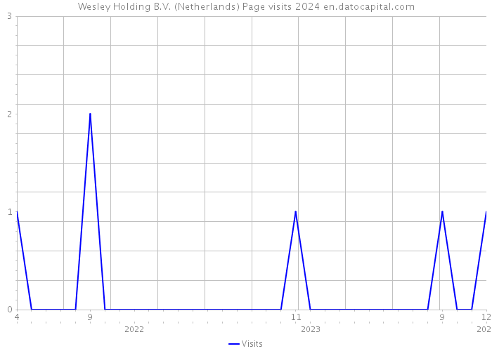 Wesley Holding B.V. (Netherlands) Page visits 2024 