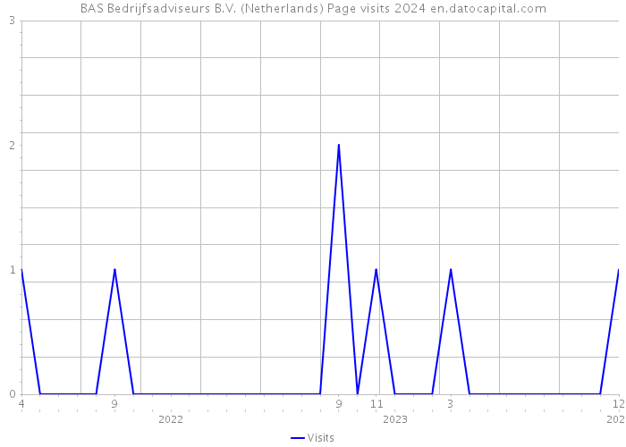 BAS Bedrijfsadviseurs B.V. (Netherlands) Page visits 2024 