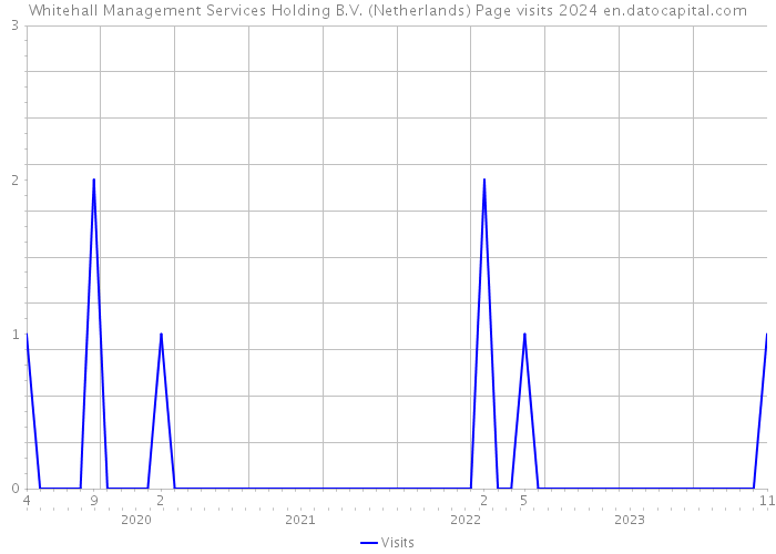 Whitehall Management Services Holding B.V. (Netherlands) Page visits 2024 