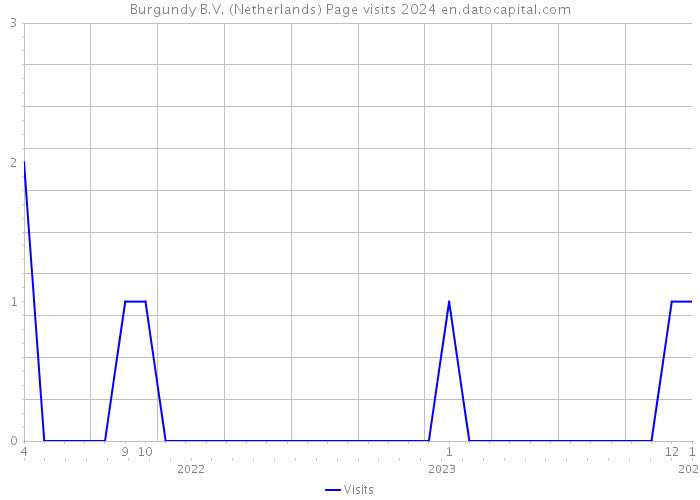 Burgundy B.V. (Netherlands) Page visits 2024 