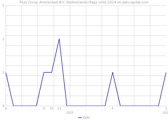 Pezy Group Amsterdam B.V. (Netherlands) Page visits 2024 