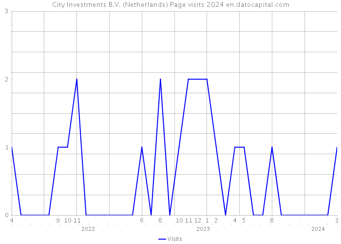 City Investments B.V. (Netherlands) Page visits 2024 