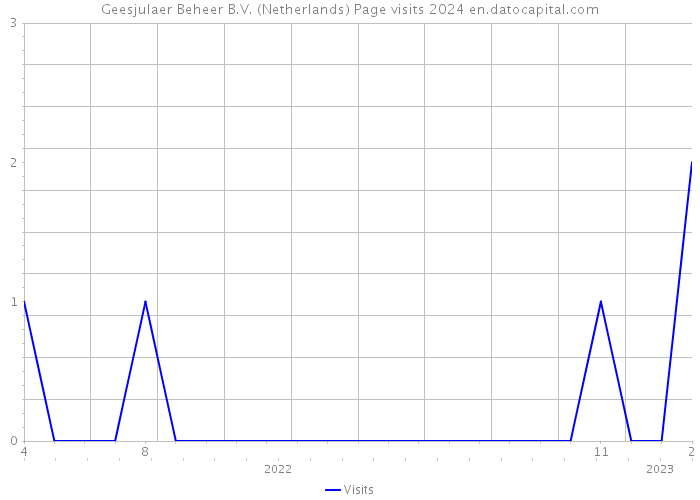 Geesjulaer Beheer B.V. (Netherlands) Page visits 2024 