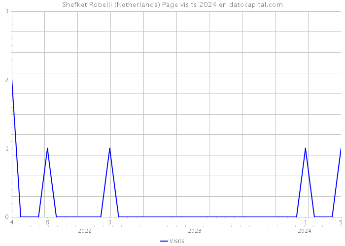 Shefket Robelli (Netherlands) Page visits 2024 